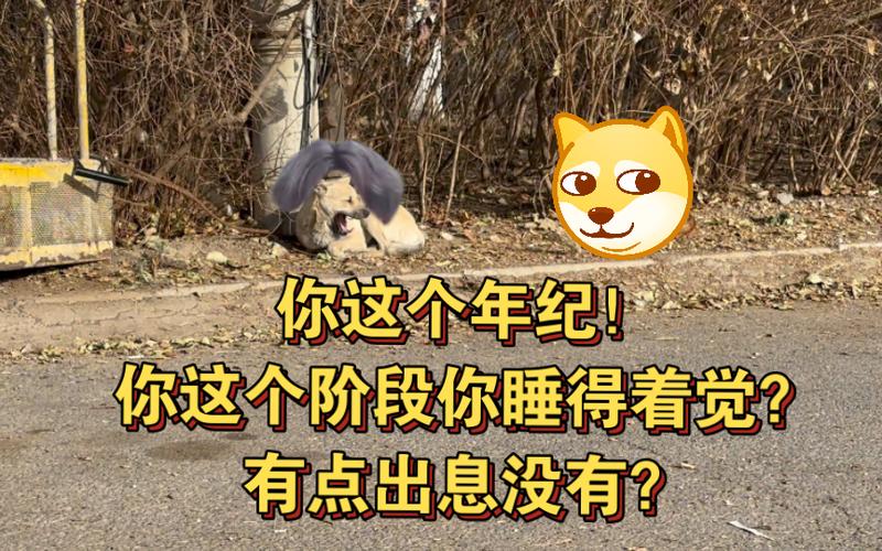 你这个年纪！ 你这个阶段你睡得着觉？ 有点出息没有？