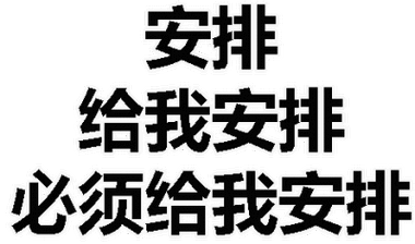 安排 给我安排 必须给我安排