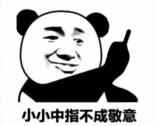 小小中指不成敬意