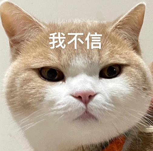 我不信