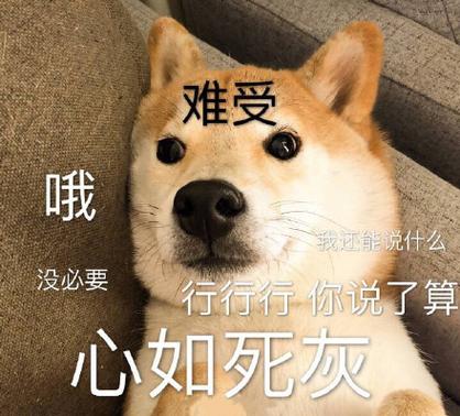 难受 哦 我还能说什么 没必要 行行行你说了算 心如死灰