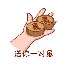 象 送你一对象