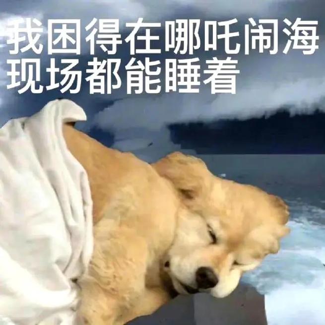 我困得在哪吒闹海 现场都能睡着