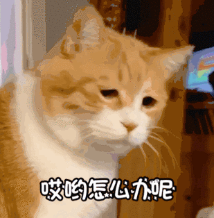 哎哟怎么办呢