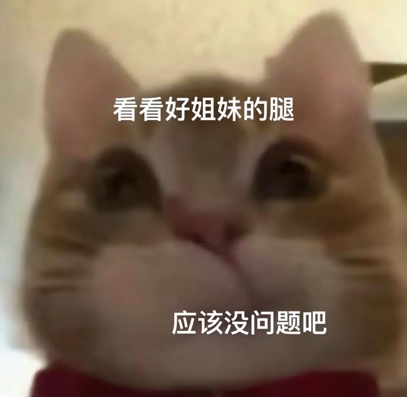 看看好姐妹的腿 应该没问题吧