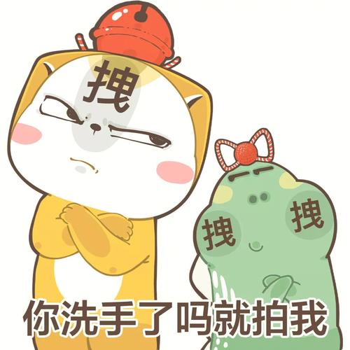 拽 拽 拽 你洗手了吗就拍我