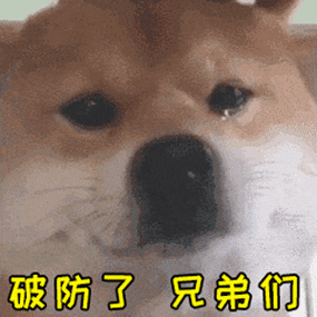 破防了兄弟们