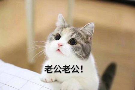 老公老公！