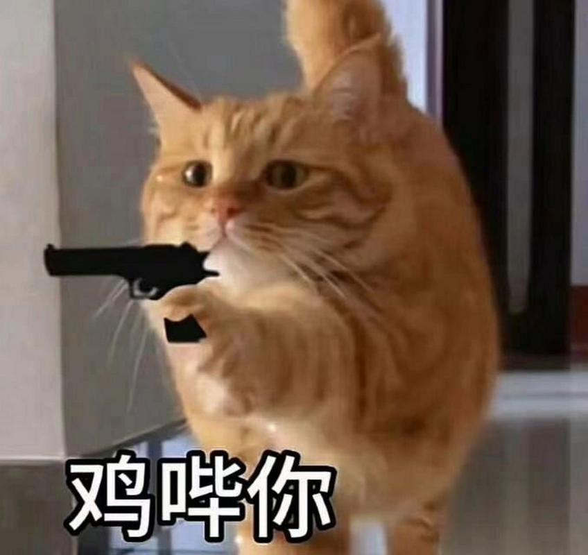 鸡哗你