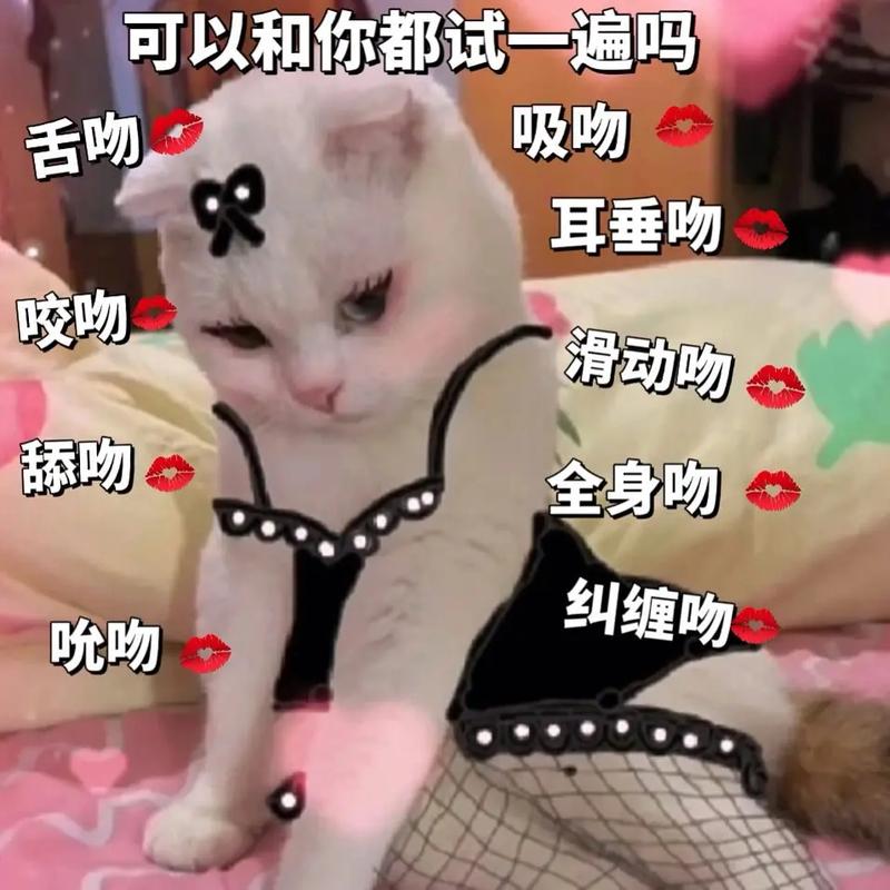 可以和你都试一遍吗 吸吻 舌吻 耳垂吻 咬吻 滑动吻 舔吻 全身吻 纠缠吻 吮吻