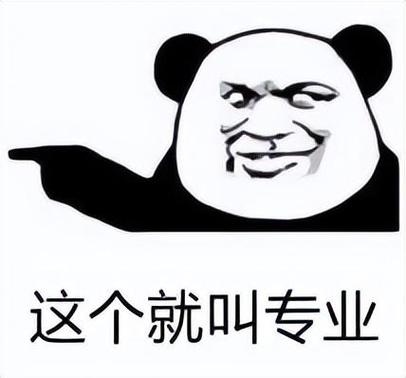 这个就叫专业
