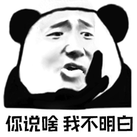 你说啥我不明白