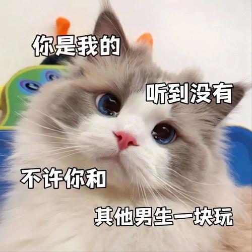 你是我的 听到没有 不许你和 其他男生一块玩