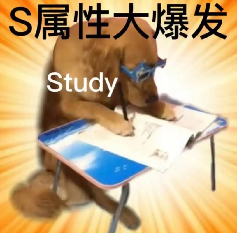 S属性大爆发 Study