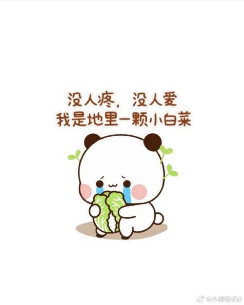 没人疼，没人爱 我是地里一颗小白菜