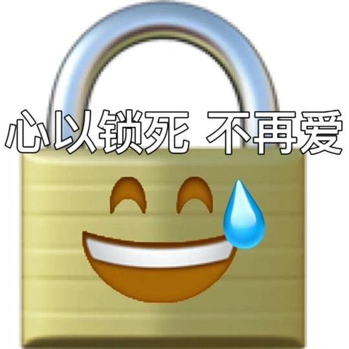 心以锁死不再爱