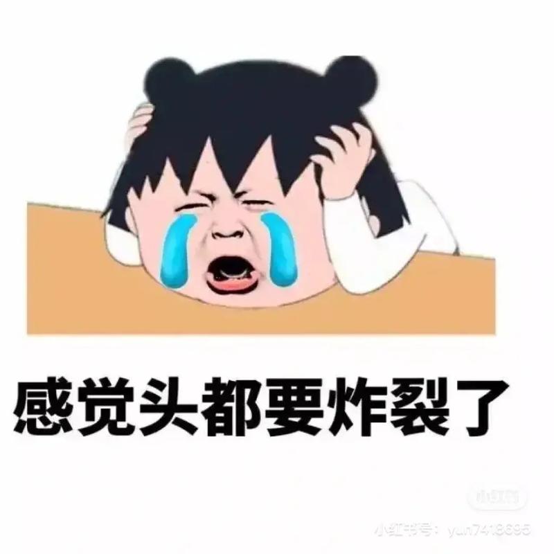感觉头都要炸裂了 小红号：y47418895