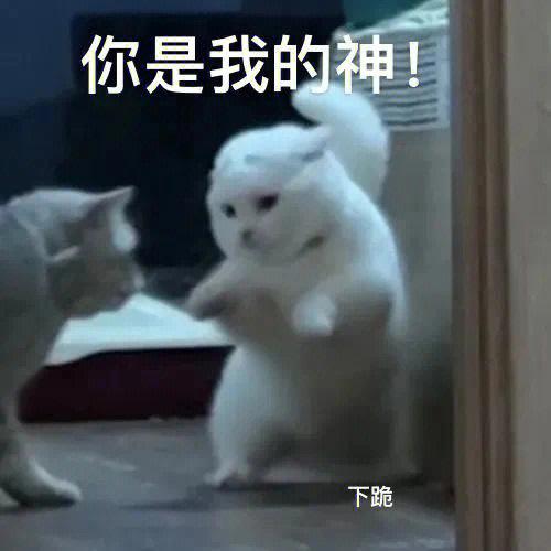 你是我的神！ 下跪