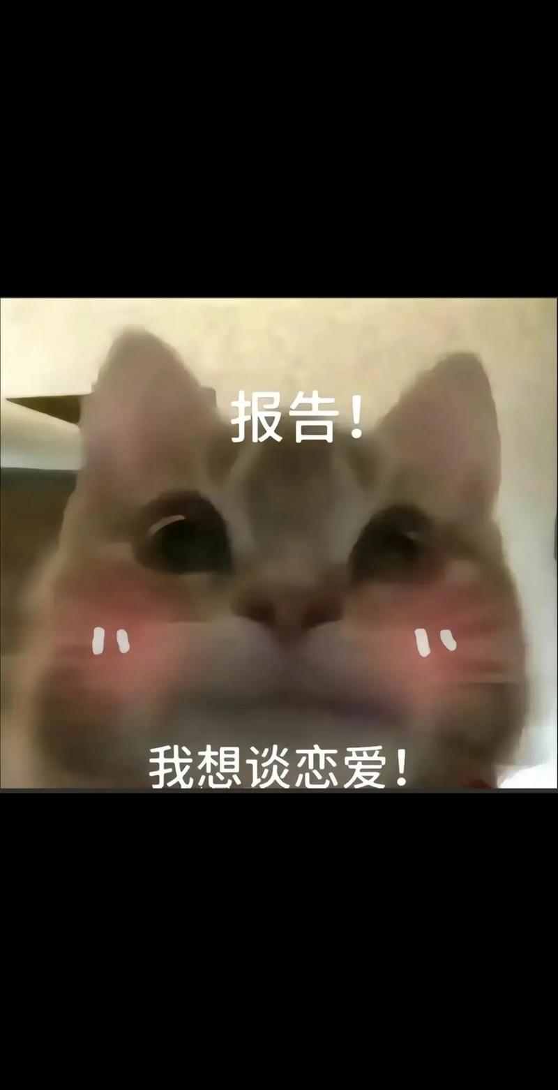 报告！ 我想谈恋爱！