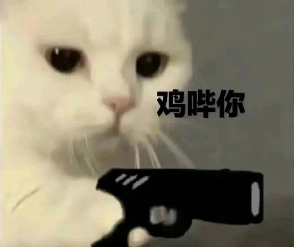 鸡哗你