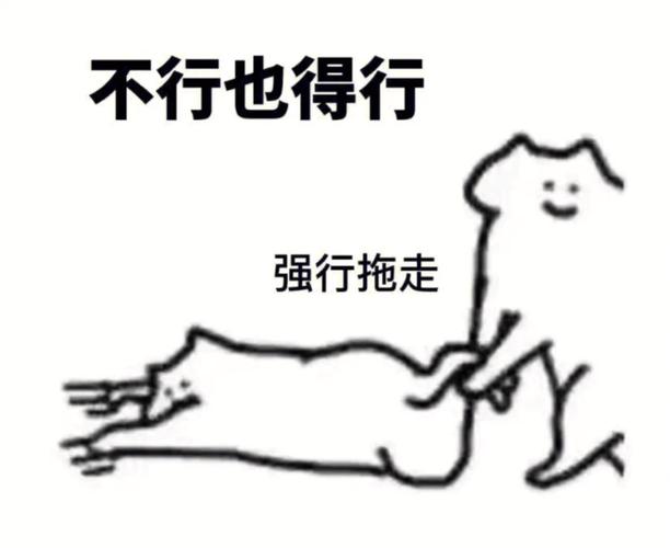 不行也得行 强行拖走