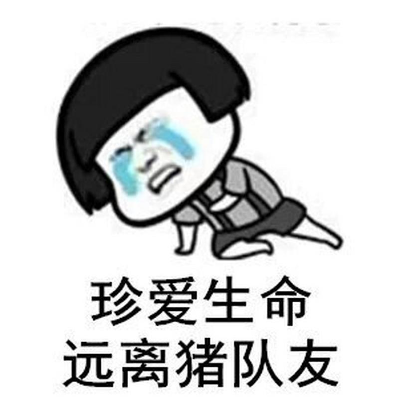 珍爱生命 远离猪队友