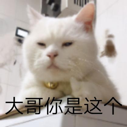 大哥你是这个