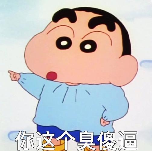 你这个臭傻逼