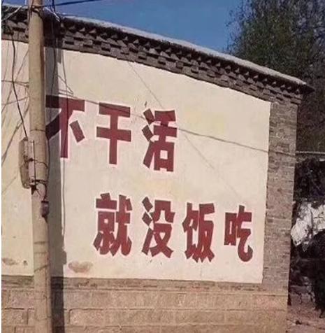 干活 就没饭吃