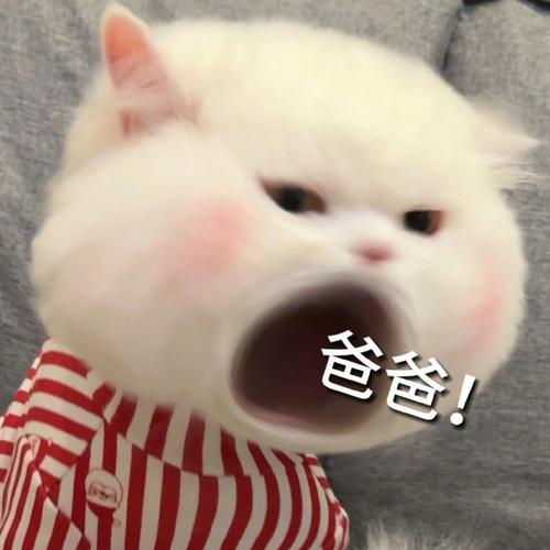 爸爸！