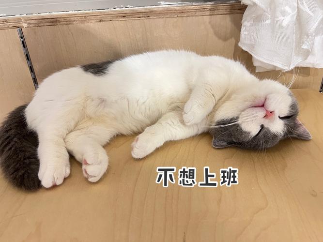 不想上班