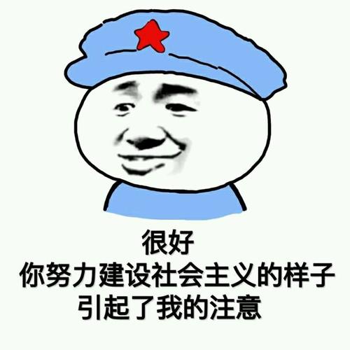 很好 你努力建设社会主义的样子 引起了我的注意