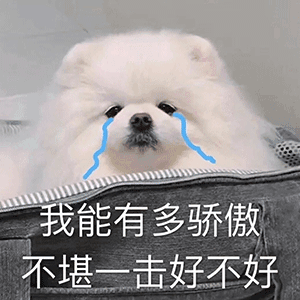 我能有多骄傲 不堪一击好不好