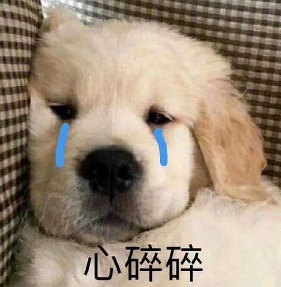心碎碎