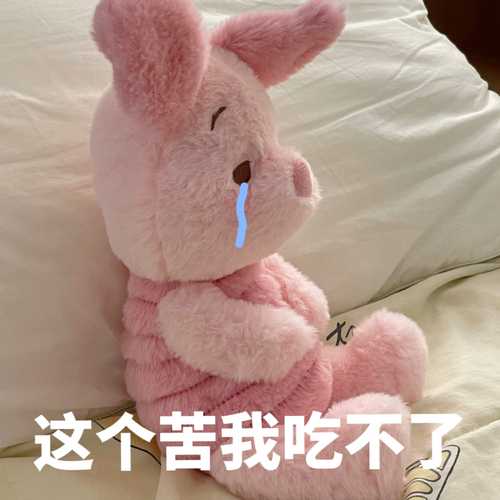 这个苦我吃不了