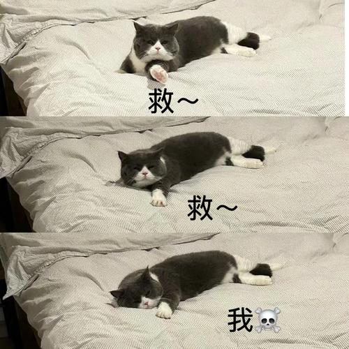 救~ 救~ 我