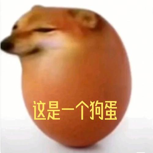 这是一个狗蛋