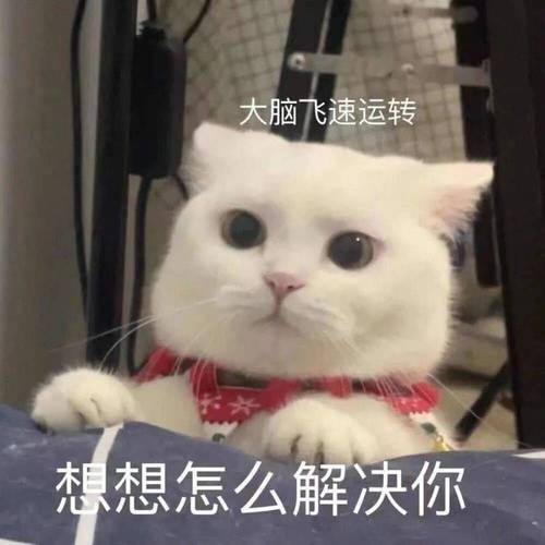 大脑飞速运转 想想怎么解决你