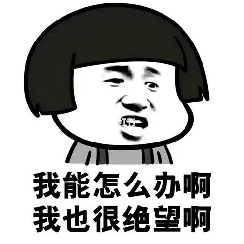 我能怎么办啊 我也很绝望啊