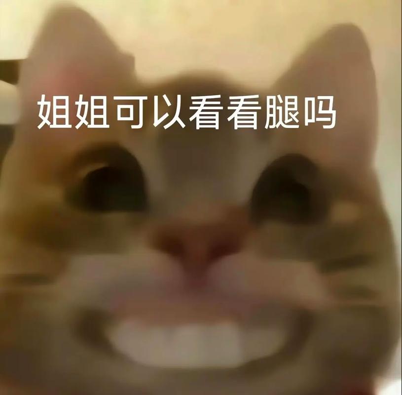 姐姐可以看看腿吗