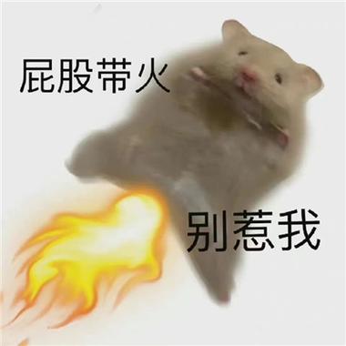 屁股带火 别惹我