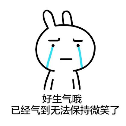 好生气哦 已经气到无法保持微笑了
