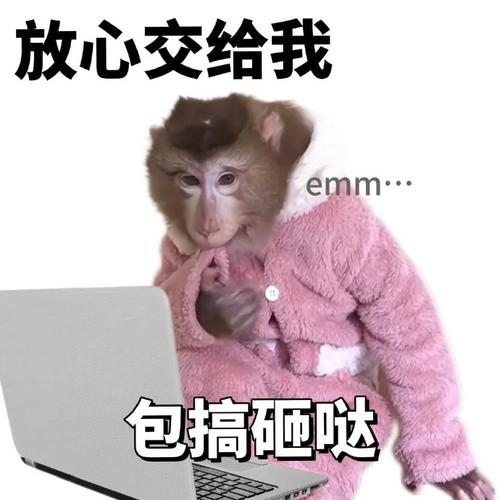 放心交给我 emm. 包搞砸哒