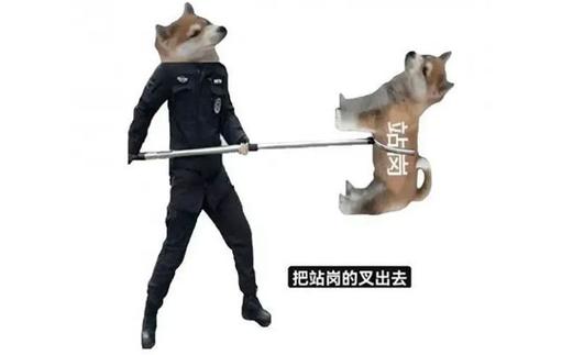 拉齿 把站岗的叉出去