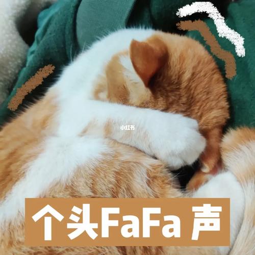 个头FaFa声