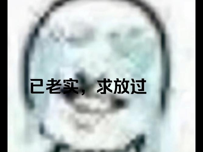 已老实， 求放过