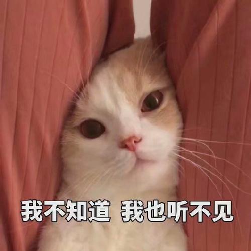 我不知道我也听不见