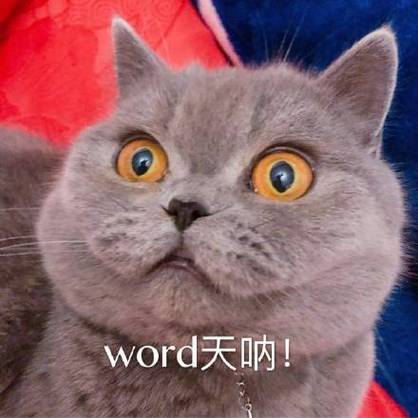 word天呐！