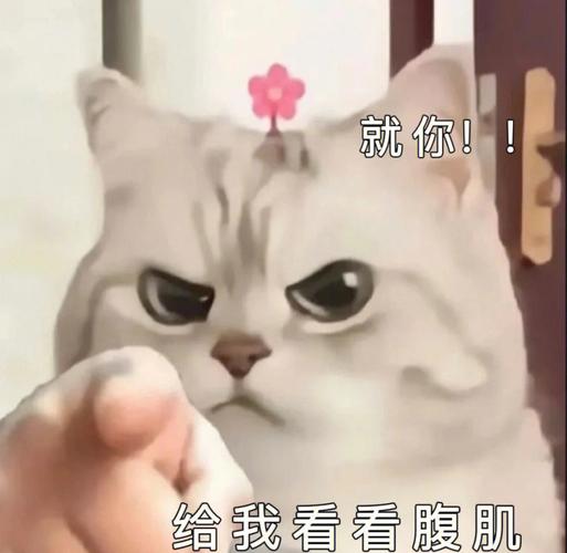 就你！ 给我看看腹肌