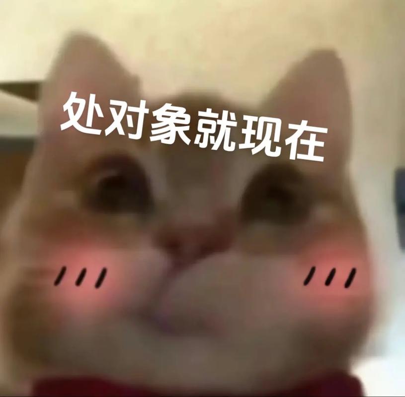 处对象就现在